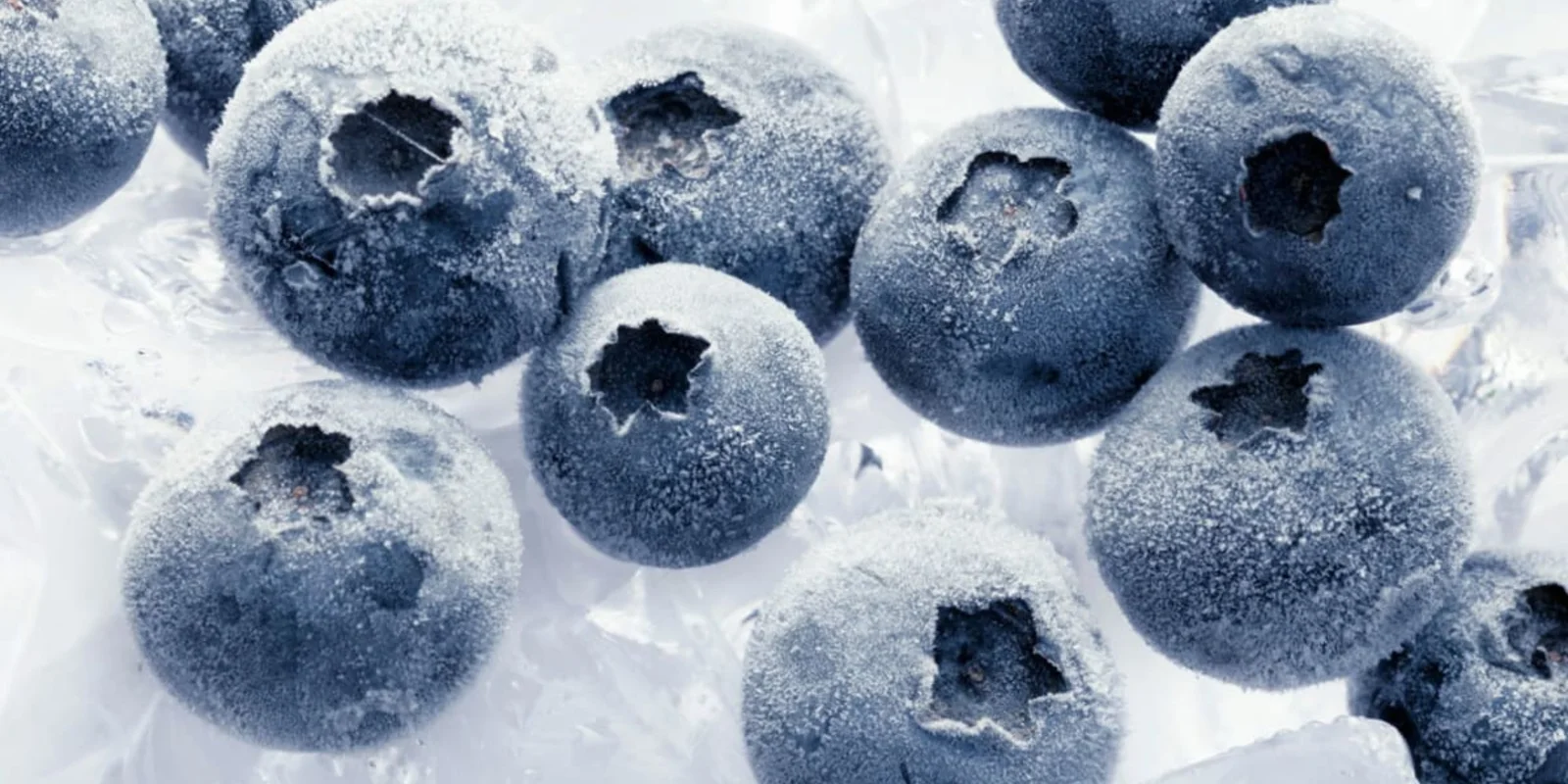 frozen fruit for smoothies wholesale